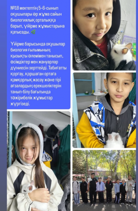 8 мектептің 5-6 сынып оқушылары әр жұма сайын биологиялық орталыққа барып, үйірме жұмыстарына қатысады.